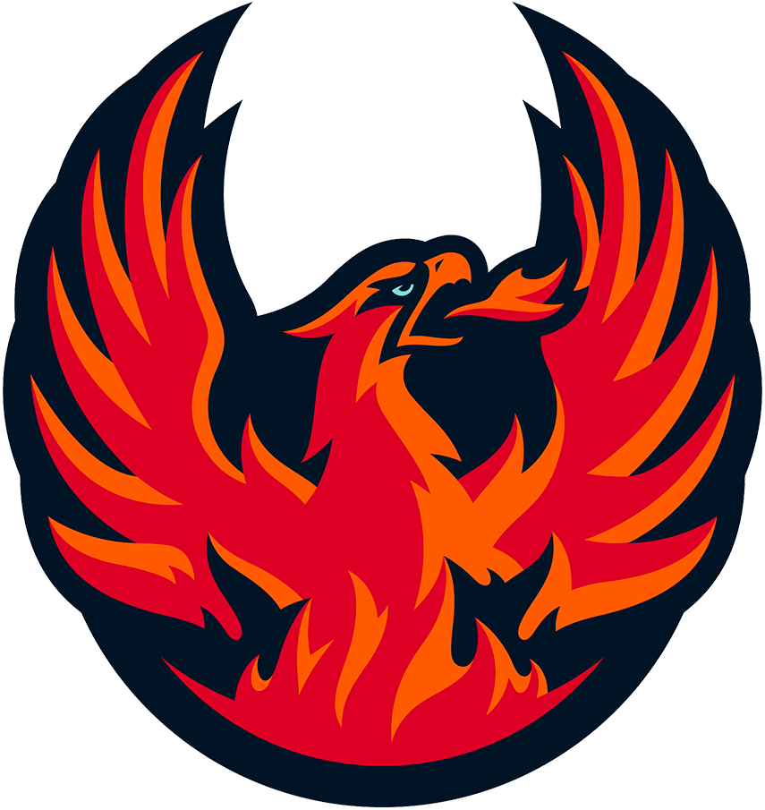 Coachella Valley Firebirds 2022-Pres Primary Logo iron on transfers for T-shirts
